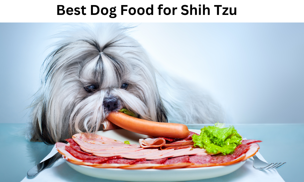 Best Dog Food for Shih Tzu