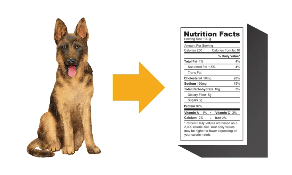 Best Dog Food for German Shepherds with Skin Allergies