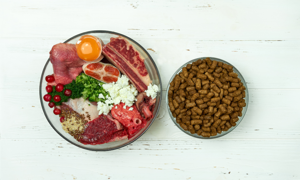 Best Dog Food for German Shorthair Pointers