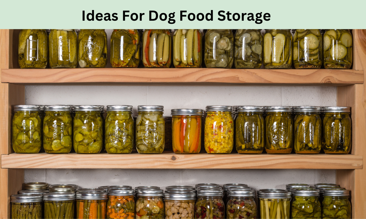 Best Ideas For Dog Food Storage 2024