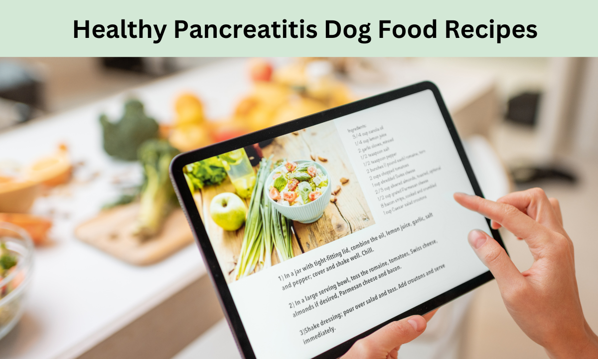 Pancreatitis Dog Food Recipes