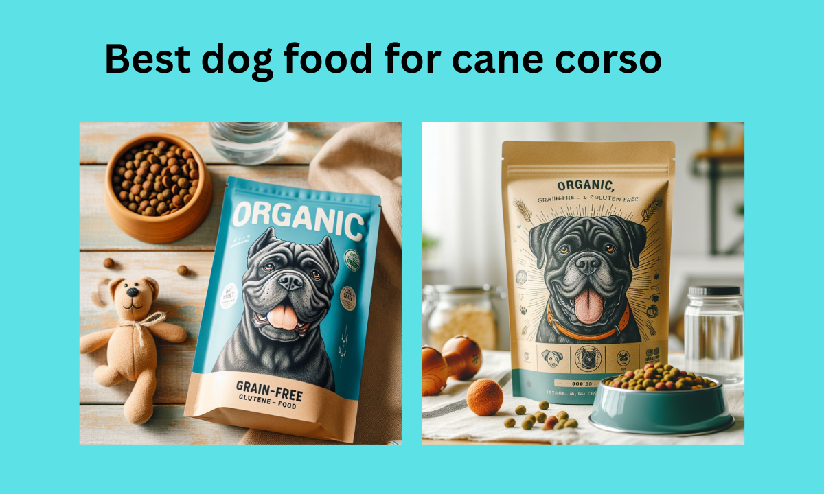 How to choose Best dog food for cane corso:The Ultimate Guide