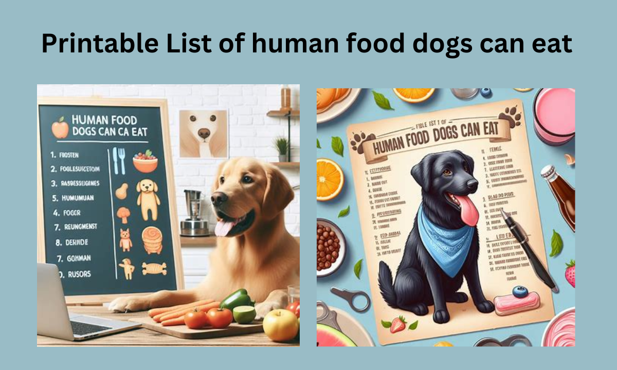 Printable List of human food dogs can eat