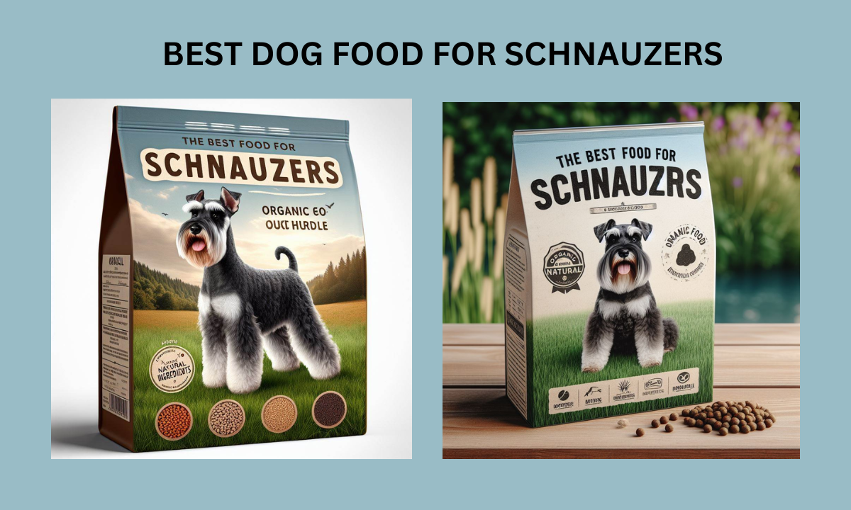 BEST DOG FOOD FOR SCHNAUZERS