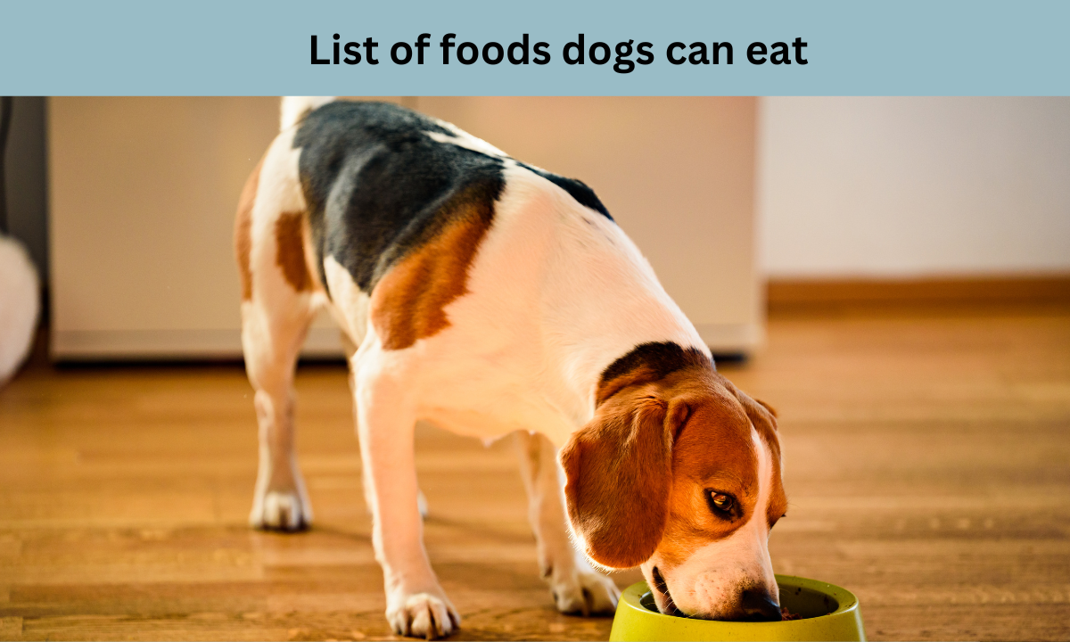 List of foods dogs can eat