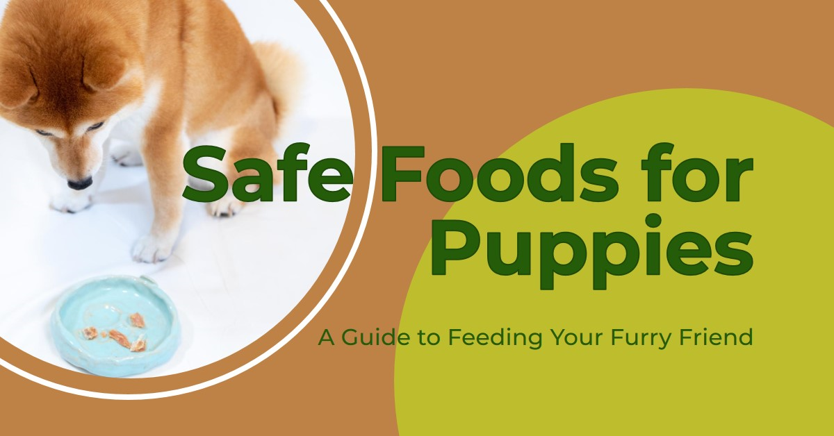 list of foods puppies can eat