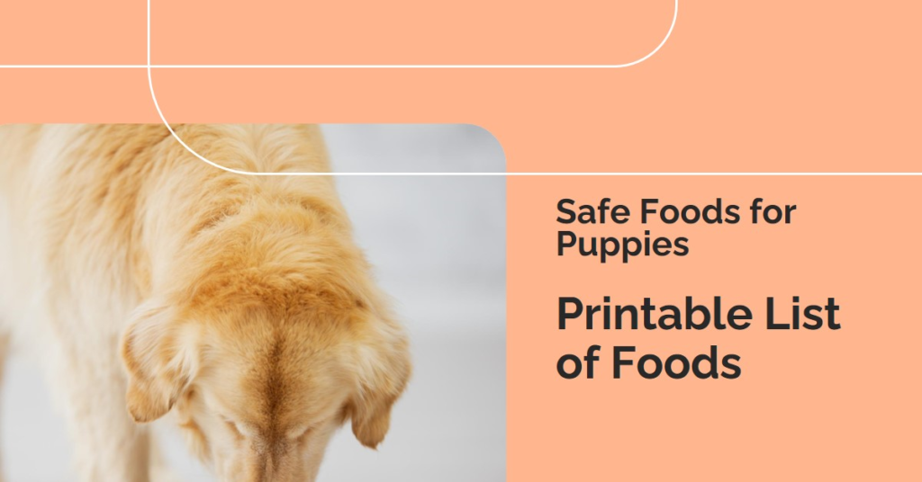 Ultimate List of foods puppies can eat:2024 Printable list - OURPETTAILS