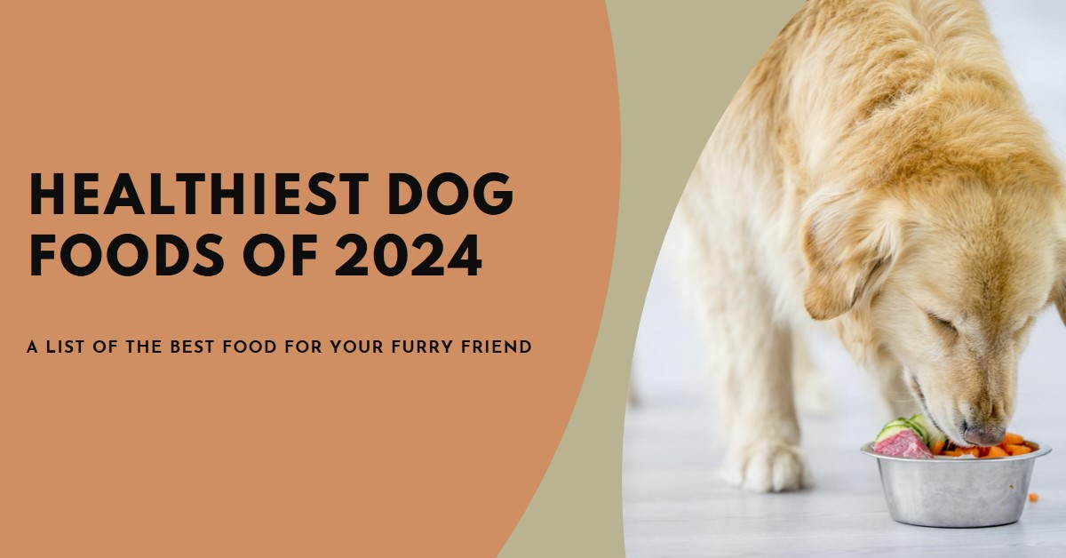 List of Healthiest Dog Foods of 2024: A detailed Guide