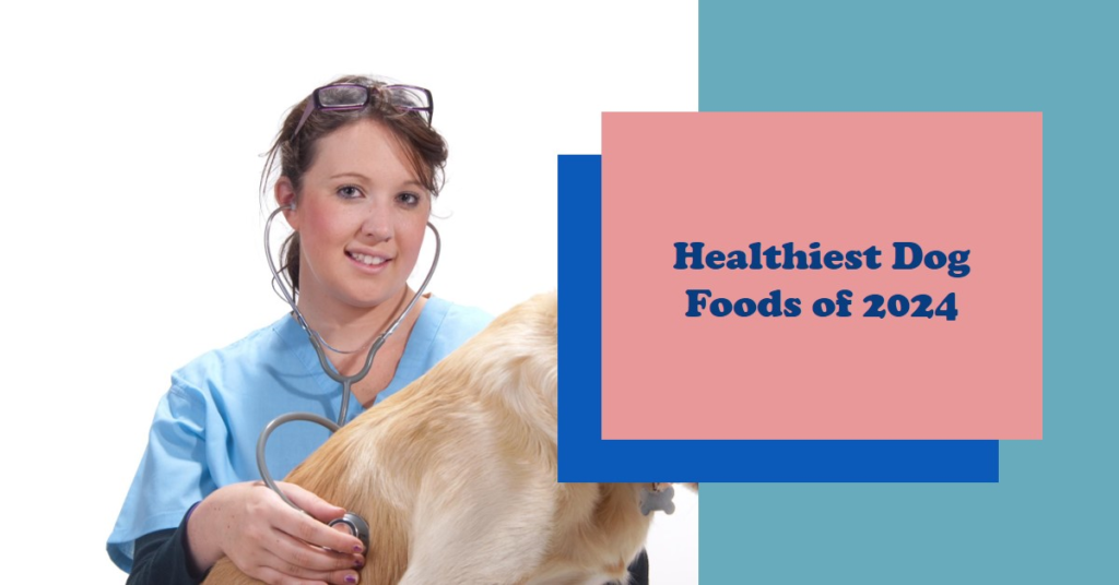 List of Healthiest Dog Foods of 2024: A detailed Guide