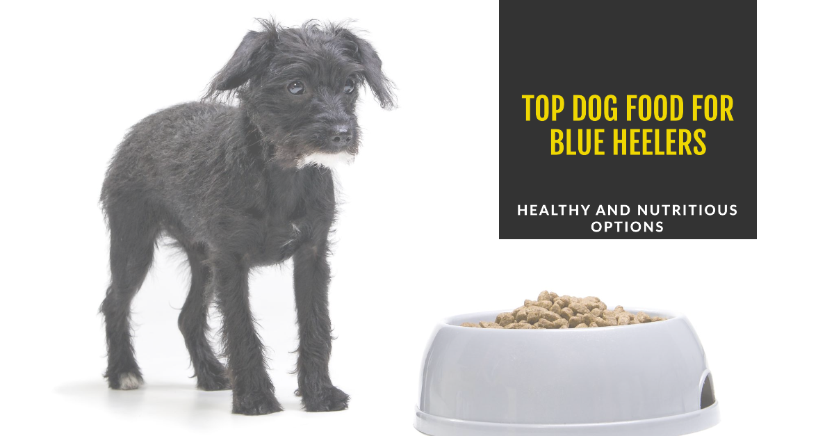 Blue heeler sale dog food