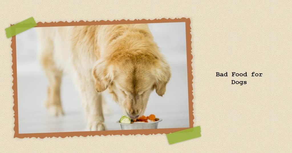 List of bad food for dogs