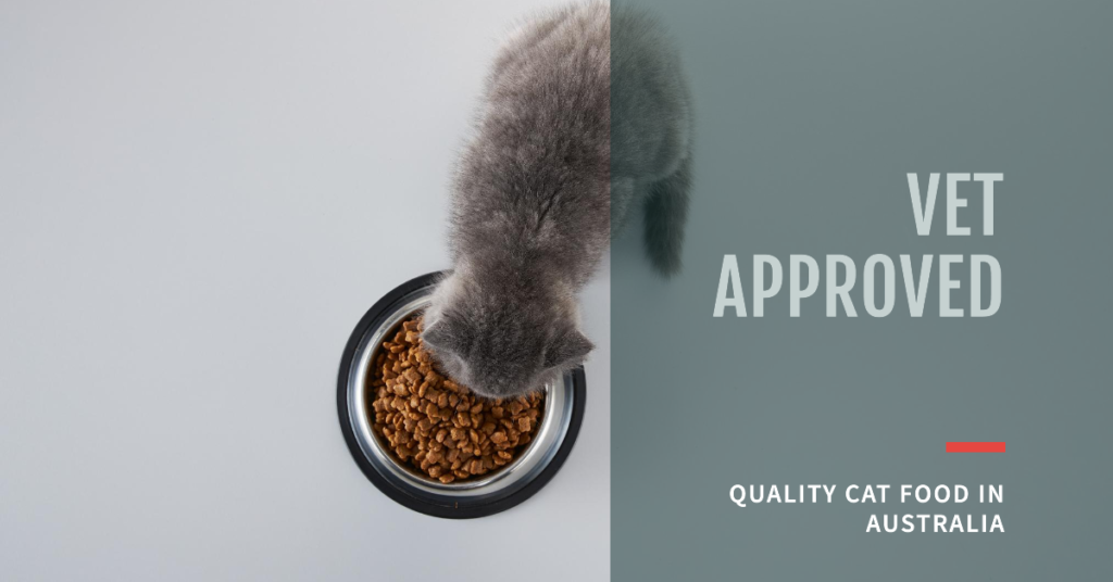 Vet recommended cat food australia