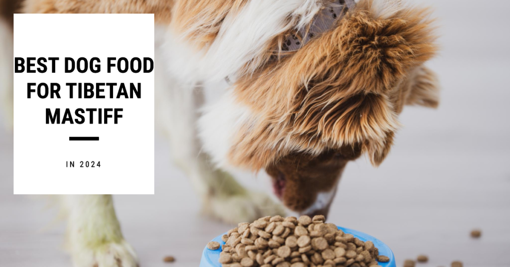 Best dog food for Tibetan Mastiff