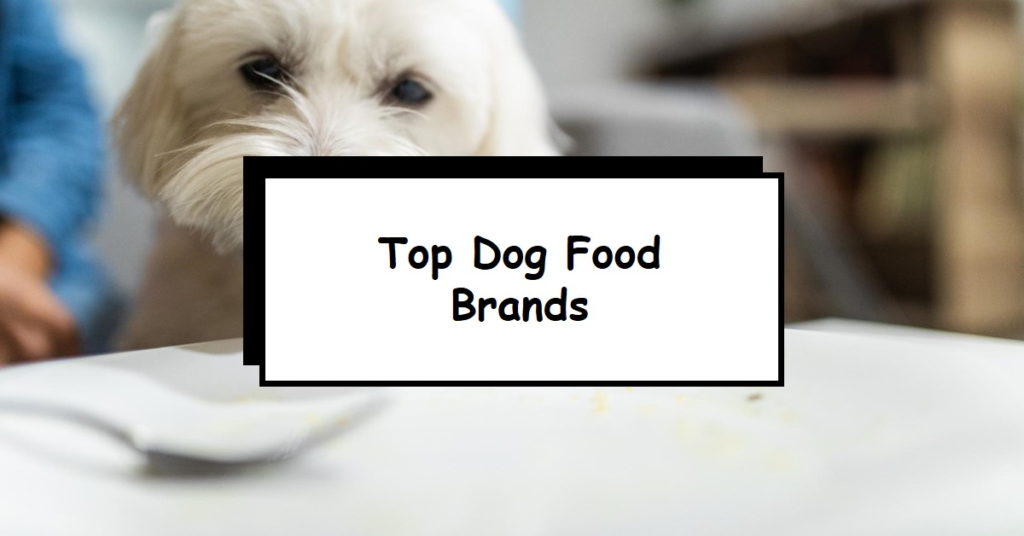 Best dog food for West Highland terriers