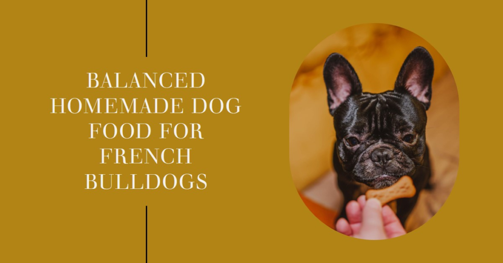 Homemade Dog Food for French Bulldogs