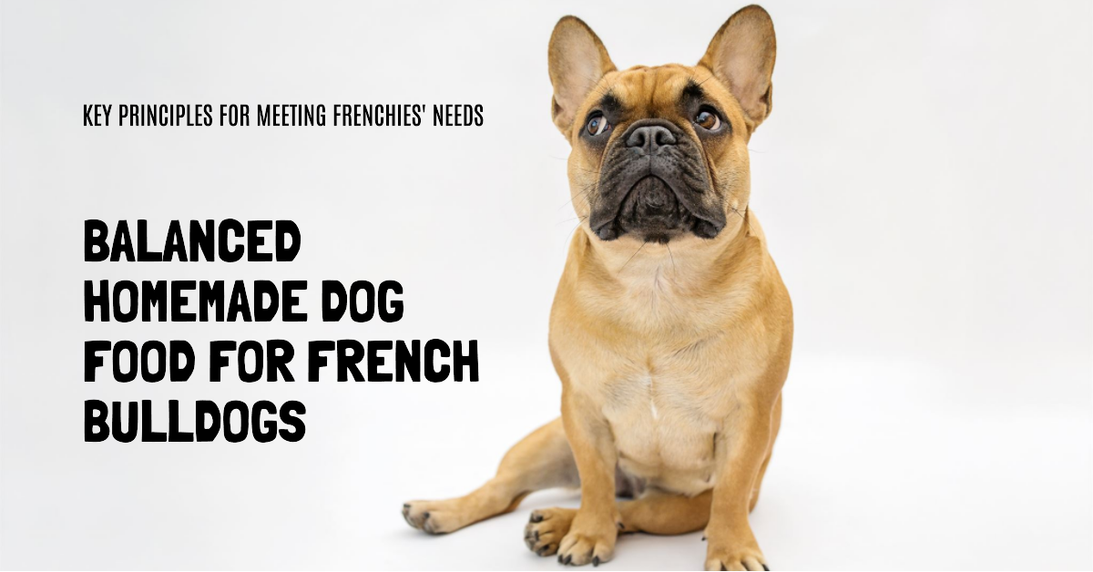 Homemade Dog Food for French Bulldogs