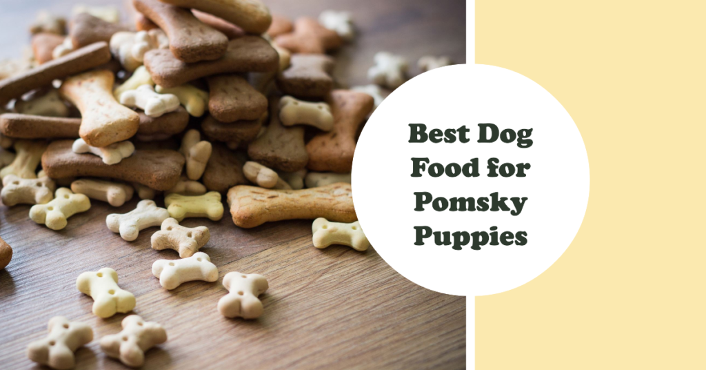 Best Dog Food for Pomsky Puppies 