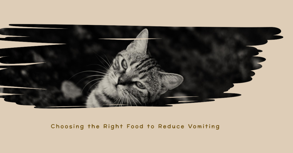 Best Cat Food for Cats That Throw Up