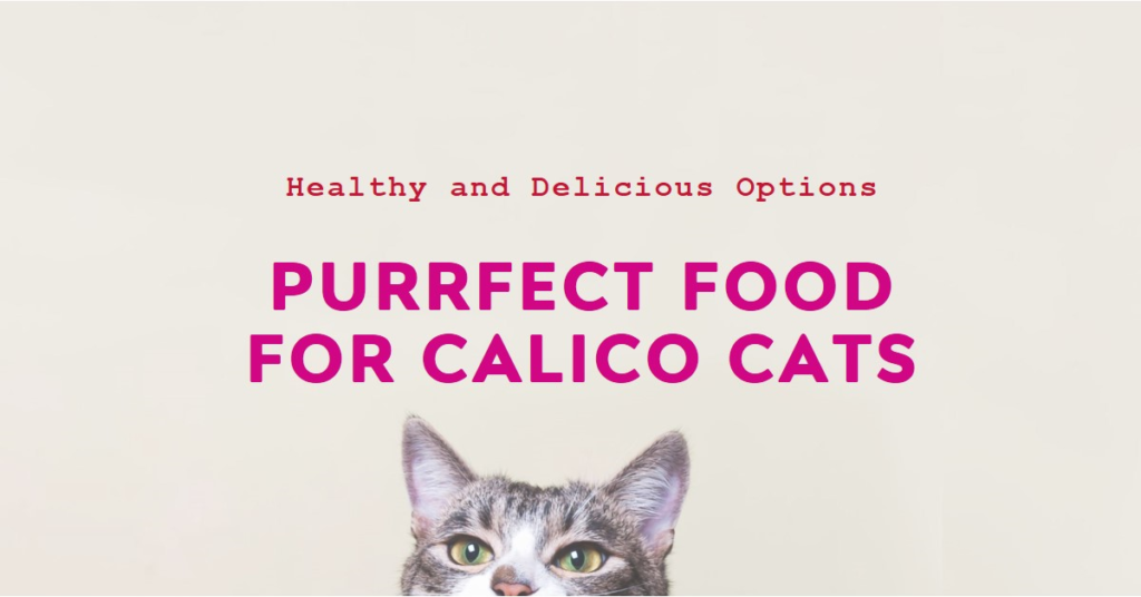 Best Food for Calico Cats