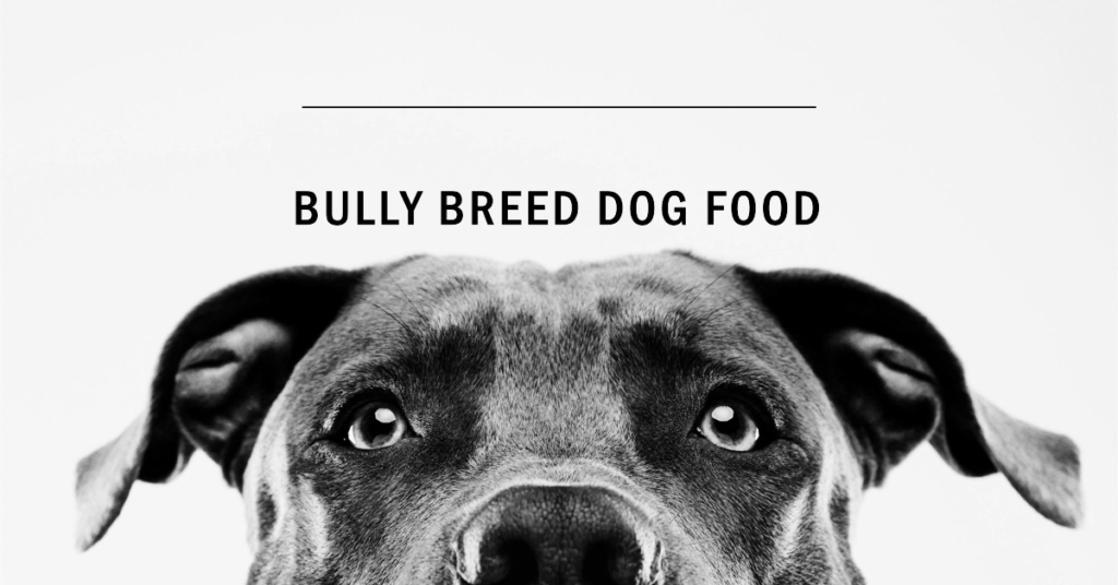 Best Dog Food For Bully Breed