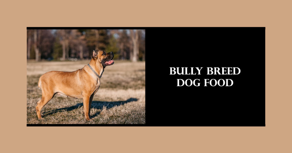 Best Dog Food For Bully Breed