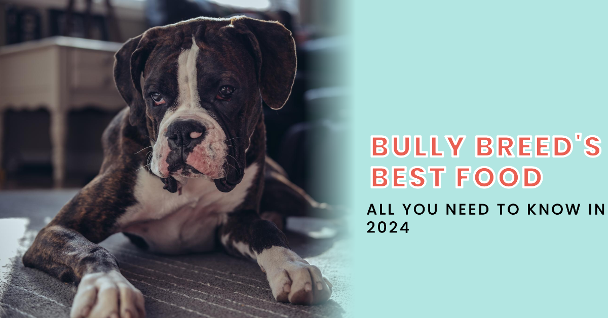 Best Dog Food For Bully Breed