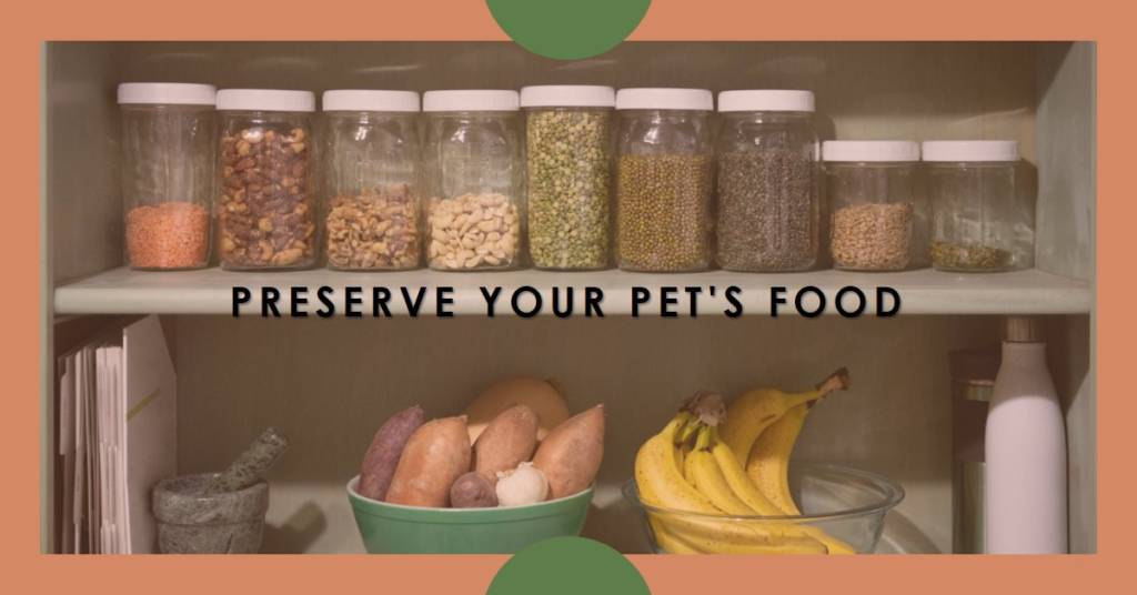 Complete Directives on the Safe Preservation and Maintenance of Pet Food in 2024