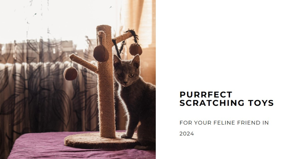 Best Scratching Toys for Cats