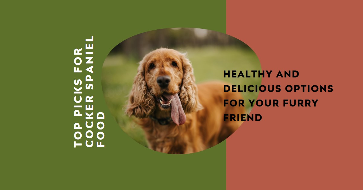 The Best Dog Food For Cocker Spaniels in 2024