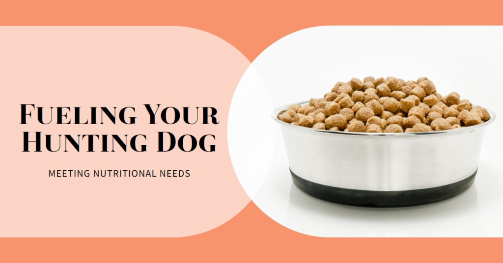 Best dog food for hunting dogs homemade