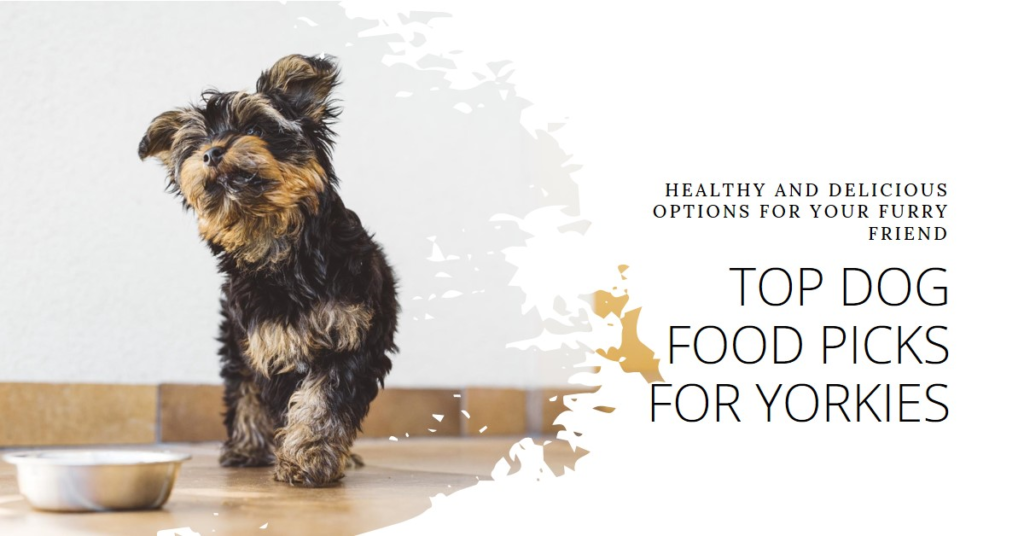 Best Dog Food for Yorkies