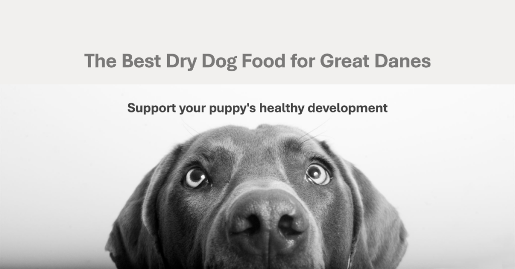 Best Dry Dog Food for Great Danes