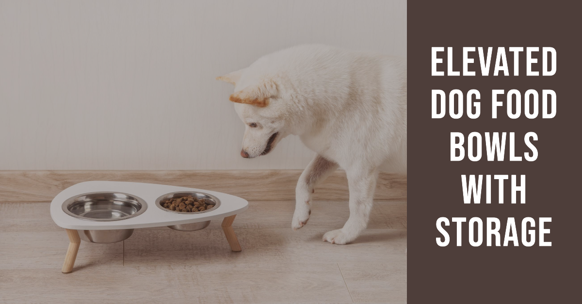 Elevated Dog Food Bowls With Storage