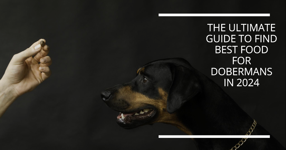 Best Food For Dobermans