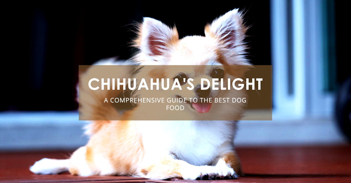 Best dog food for chihuahuas