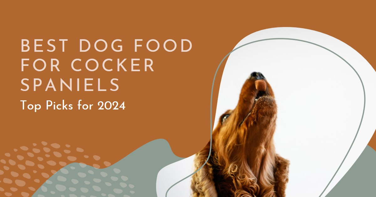 Best Dog Food for Cocker Spaniels