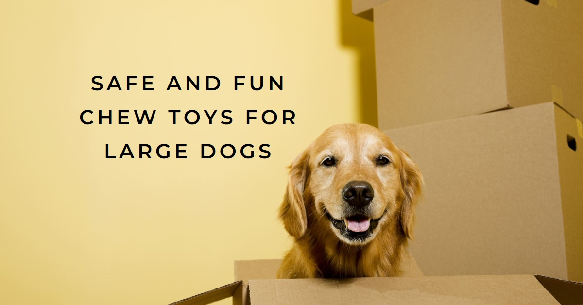 Safest Chew Toys For Dogs