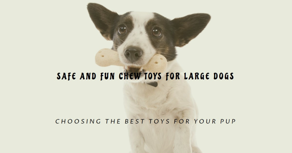 Safest Chew Toys For Dogs