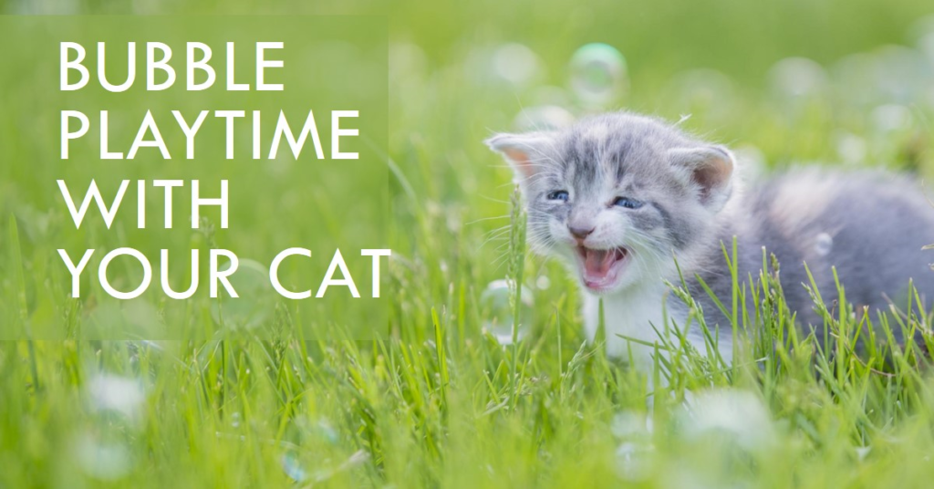 Are Bubbles safe for cats