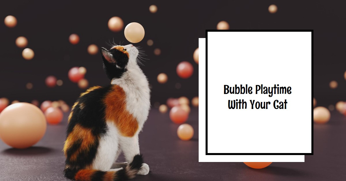 Are Bubbles safe for cats