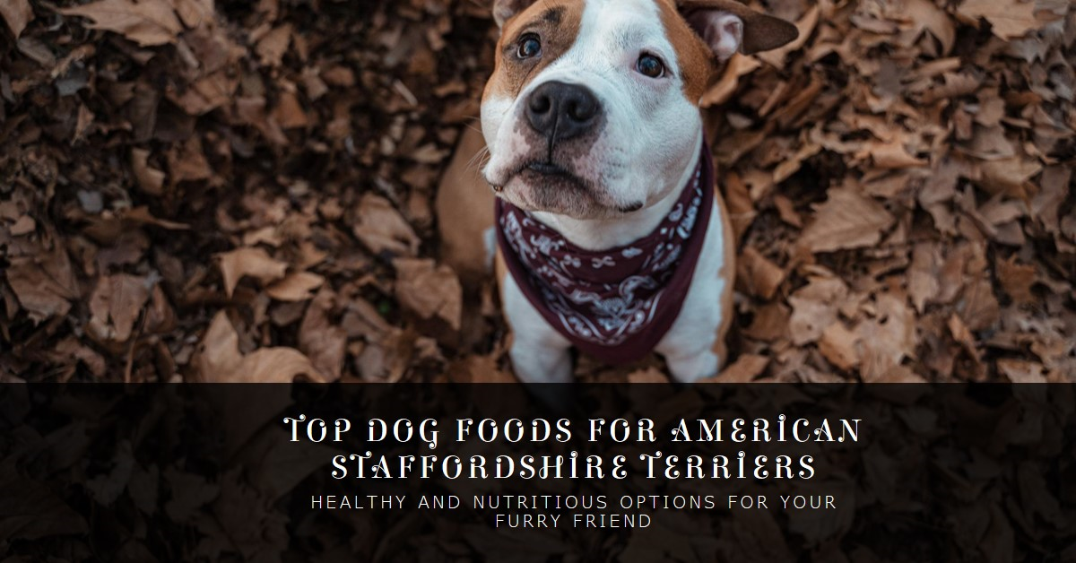 Best Dog Food for American Staffordshire Terrier