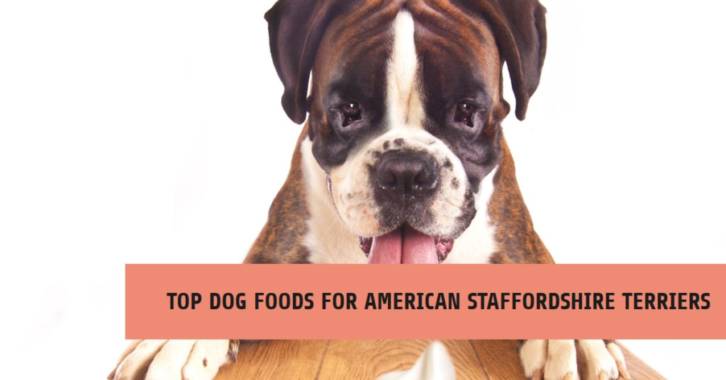 Best Dog Food for American Staffordshire Terrier