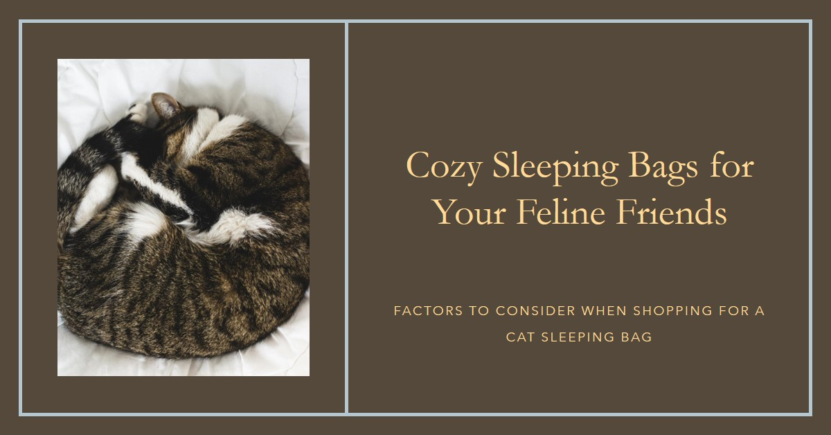 Best Sleeping Bag for Cats