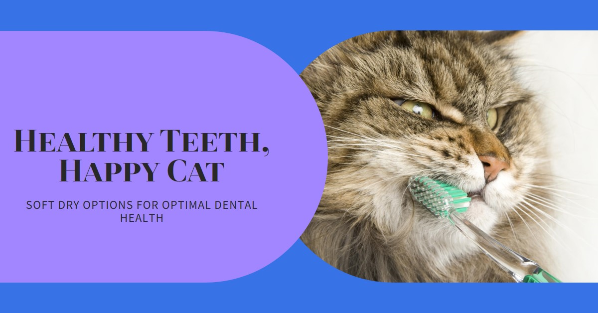 Soft Dry Food for Cats with Bad Teeth