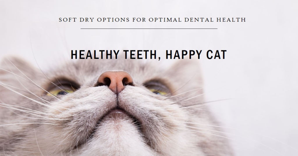 Soft Dry Food for Cats with Bad Teeth