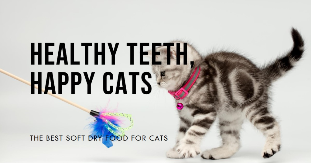 Best Soft Dry Food for Cats with Bad Teeth