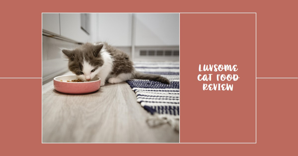 Luvsome cat food review