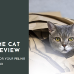 Luvsome cat food review