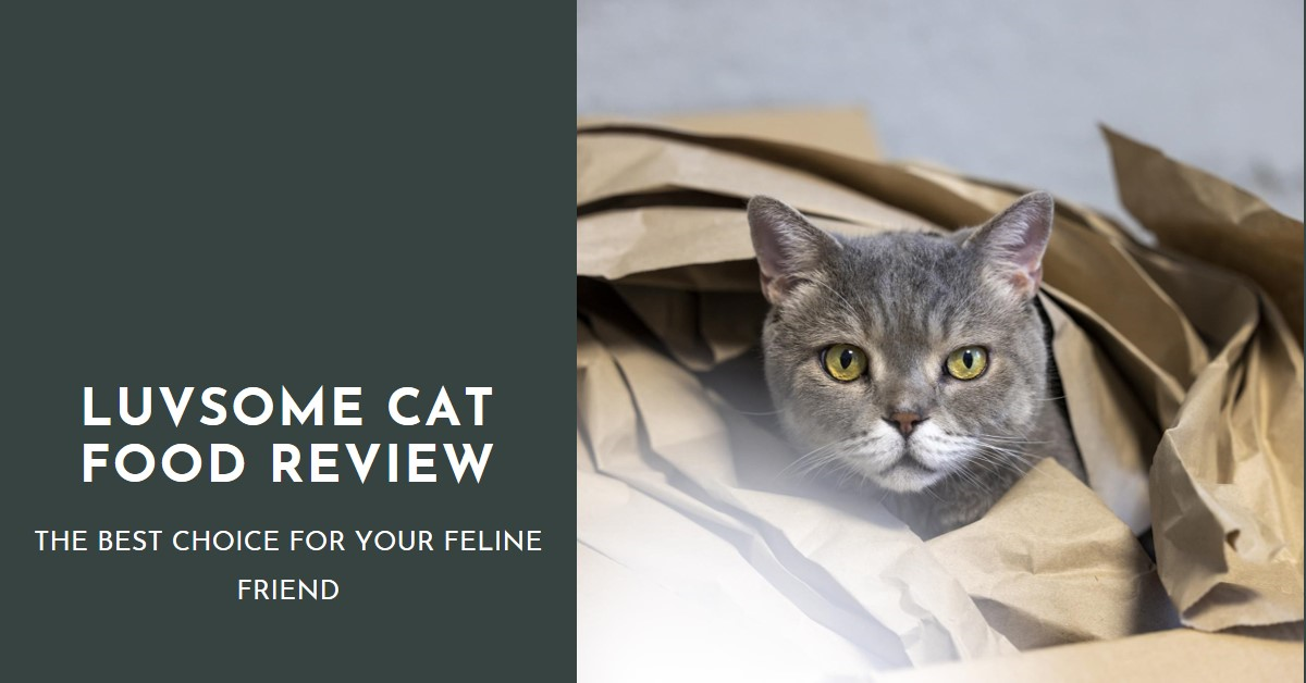 Luvsome cat food review