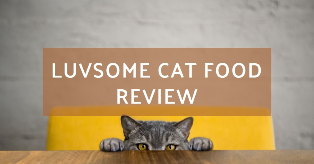 Luvsome cat food review